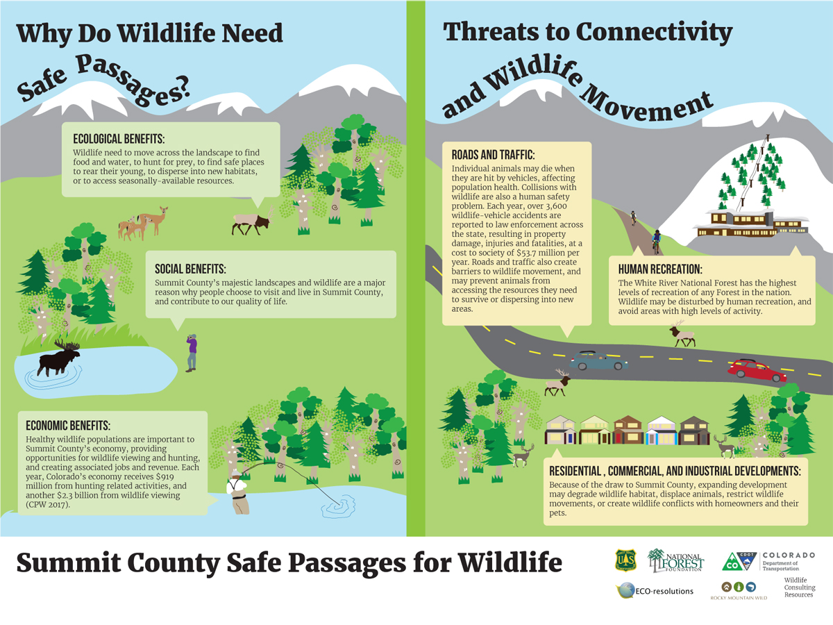 Why Do Wildlife Need Safe Passages Poster