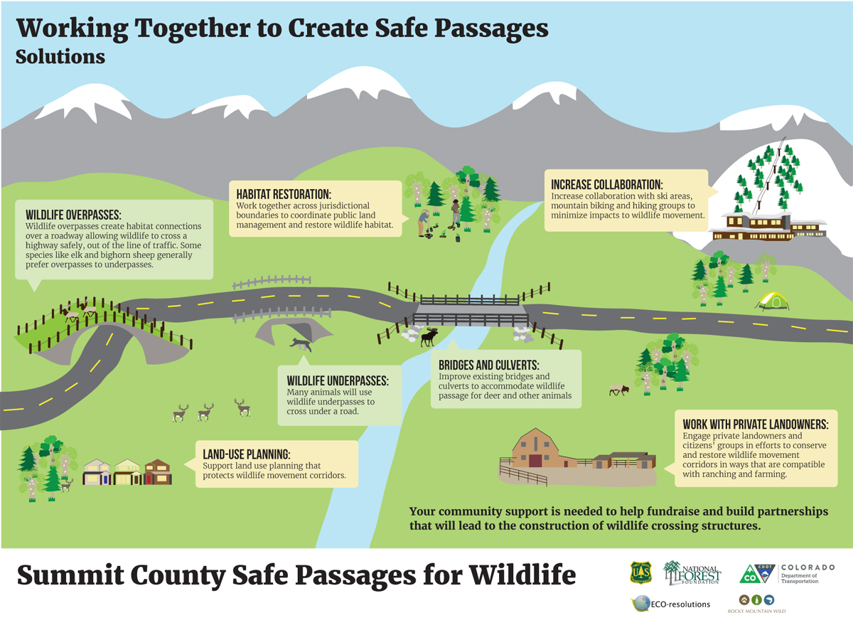 Working Together to Create Safe Passages Poster