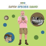 Super Species Squad Illustration - American Pika