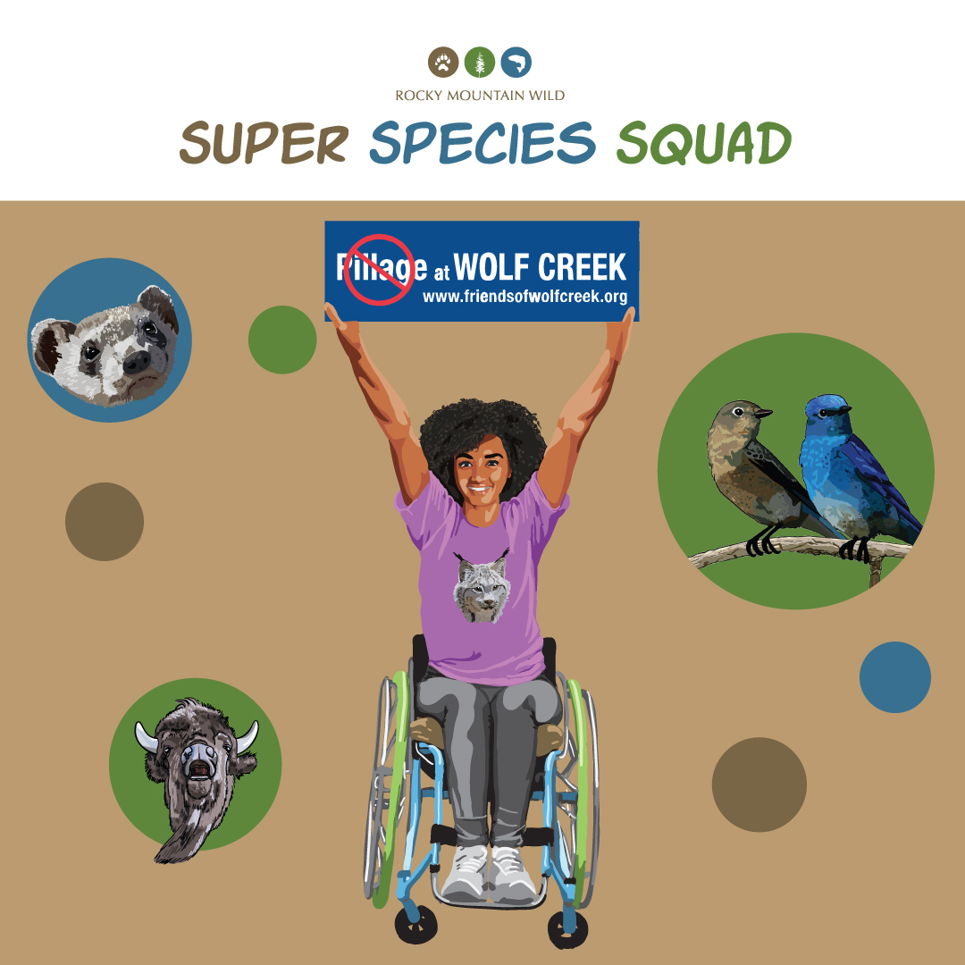Super Species Squad Illustration - Wolf Creek Pass