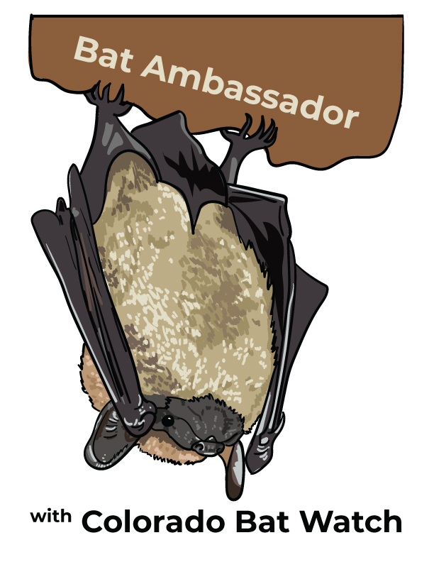 Bat Ambassador with Colorado Bat Watch sticker
